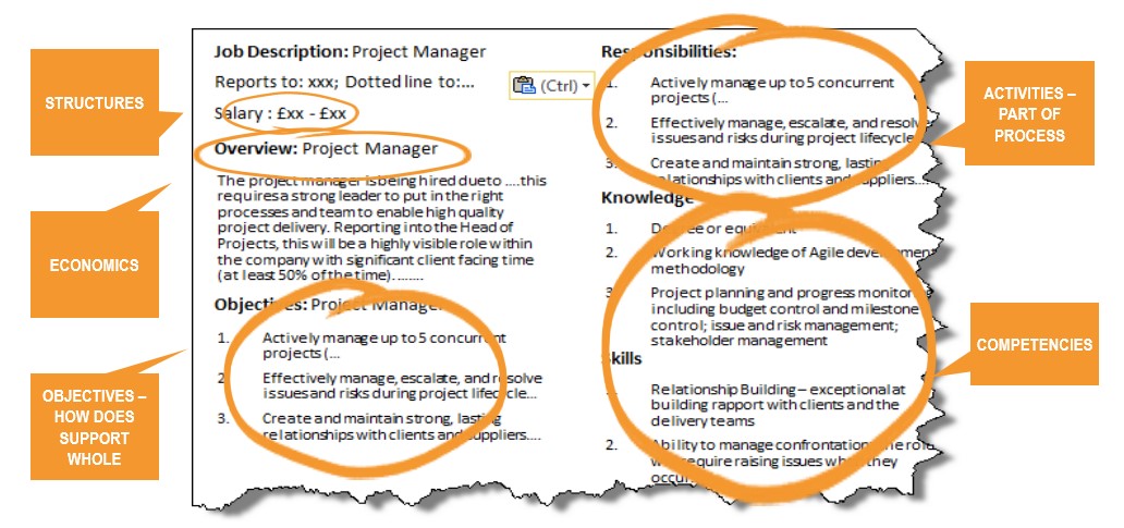 OrgVue - Job Description