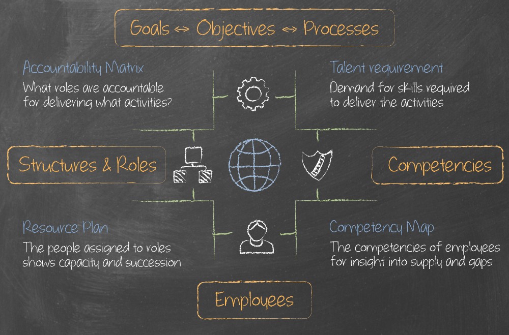 Organisation Design - OrgVue