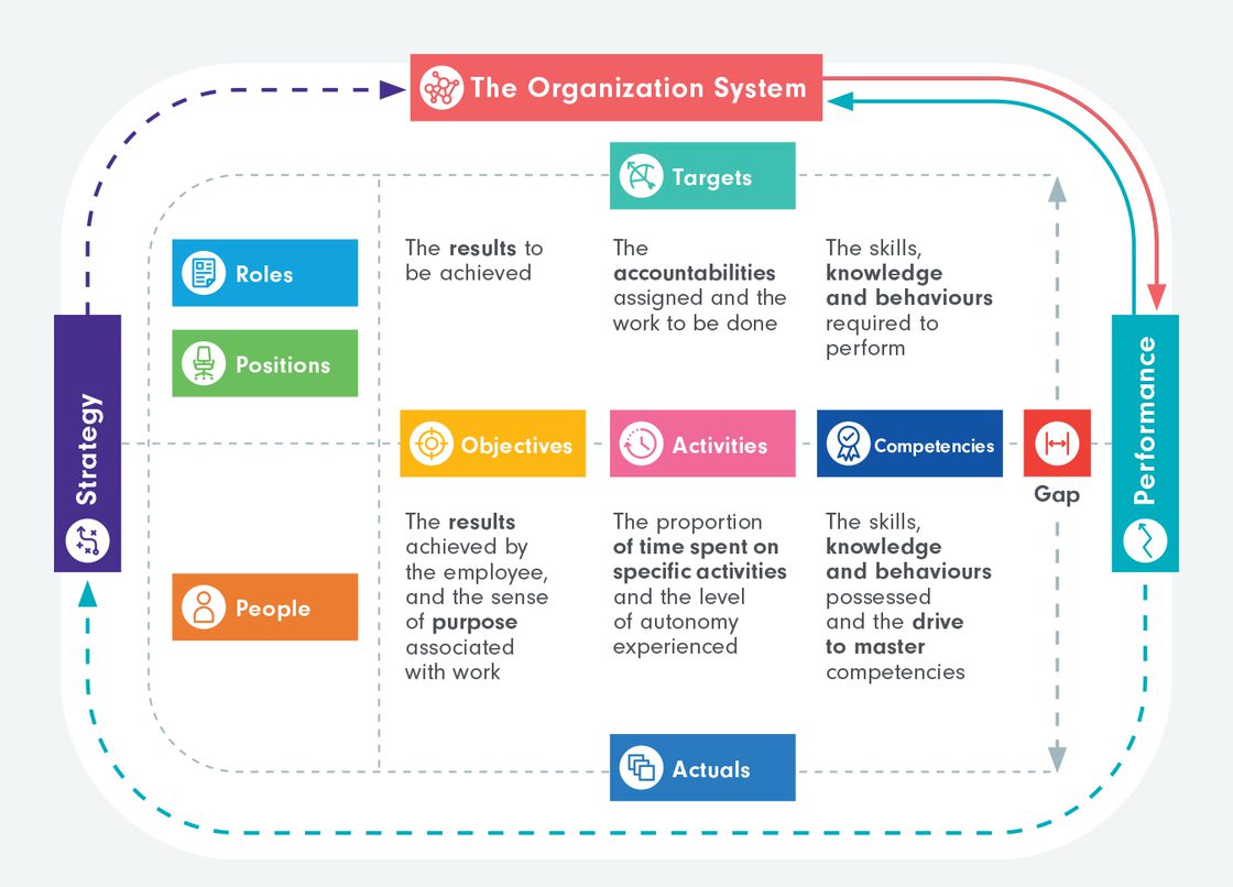 the organization system for organizational design