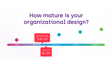 Colourful chart on how mature is your organizational design