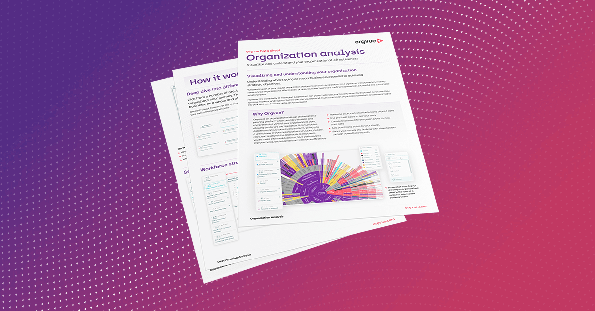 Organization analysis data sheet