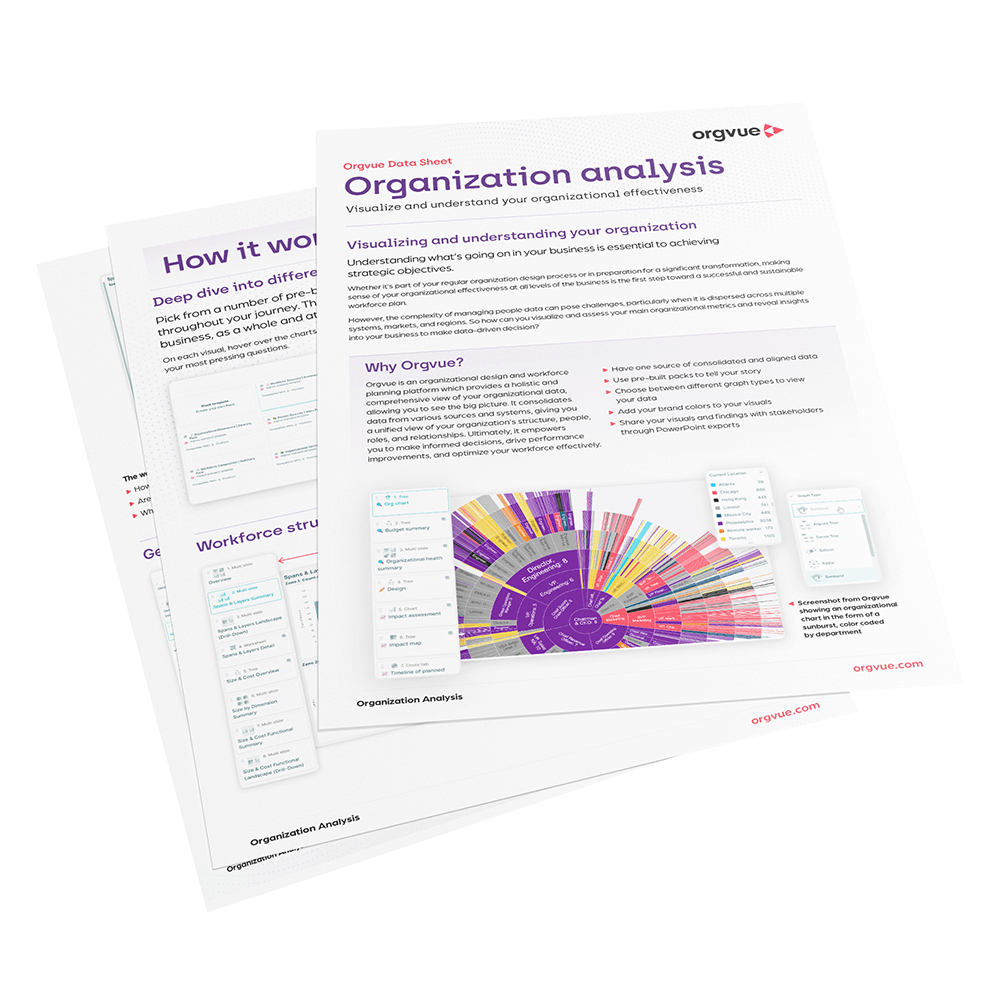 Organization analysis data sheet