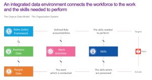 Job Architecture: Framework, Roles, and Levels