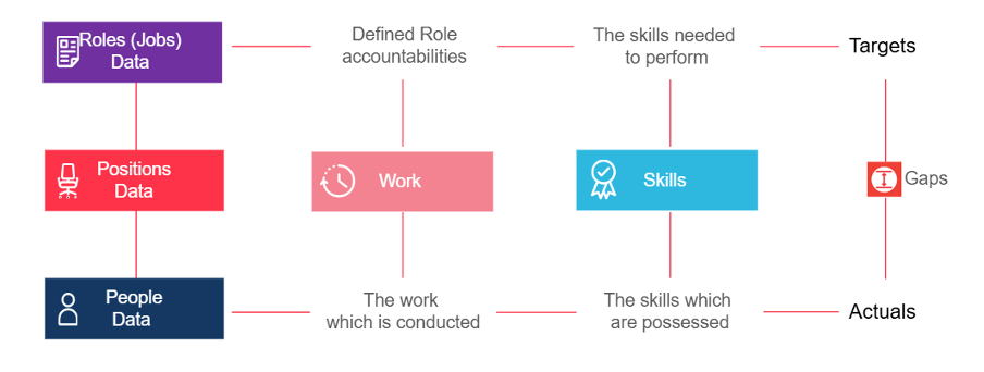 Diagram showing the relationship between work, workforce, and skills. Three data sources on the left, Roles (Jobs) Data, Positions Data, and People Data, connect to Work in the center, representing defined role accountabilities and the work being conducted. Work connects to Skills, representing both the skills needed to perform work and the skills currently possessed. On the right, a comparison of Targets and Actuals highlights skills gaps. The diagram illustrates how role, position, and people data combine to provide a connected view of work, skills, and workforce planning.