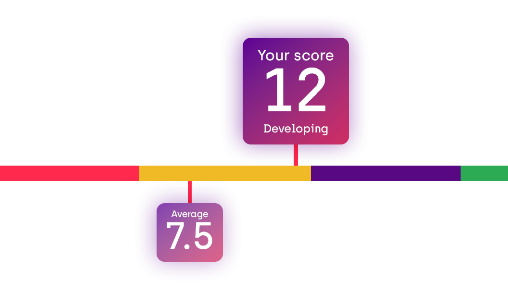 Self-assessment results showing a developing maturity score of 12, compared with an average score of 7.5
