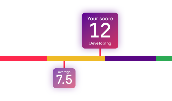 Workforce planning self-assessment results showing a developing maturity score of 12, compared with an average score of 7.5.